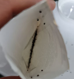 33307ab1932e32b2b90f0c07c9aed2c96ce3qnx4mn1rgqky