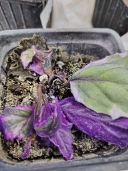 348ed21a15c959b76894f2bda1be24606ce31tymhxbv49m