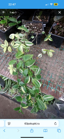 34961d21d3485f998cb2558516b4c4eb6ce338amit84nsl