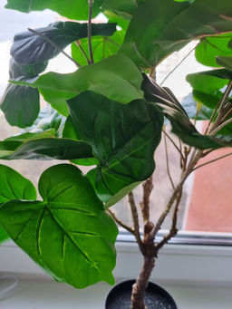 35bb38992a83c197e43ef53094d852517xbass247klm8wu0q6