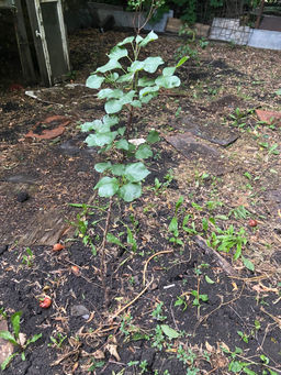 371c8fafbd3a28e2a23c44c84e1c85ceu3vnr1akme2e14jo