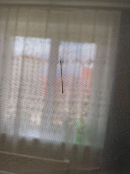 37aa0140235765c2ca897fb9df85bd3a18bq422ldemc8y3g1f