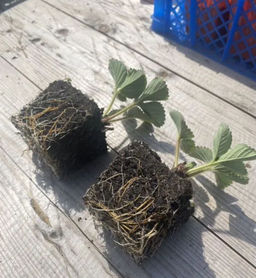 38f397ebfa082ac68f77fa2e37f1ac7b18bq41ql1gmbf6qzoy