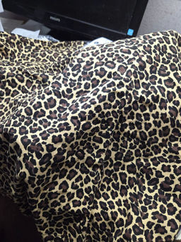 397a7ed817951efb80fbc150e858a4136ce338amio05pln