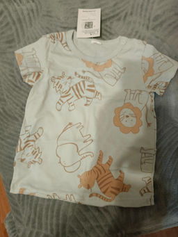 3bd23a018ff19e66d62fad284508ffac2flixt14jd4mev5fwp