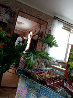 414662fa783e6cb8a41a57985125c7ab6ce3qnx4mmt6t4wl