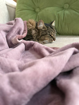 419a18d3ab752918a22bf3dfabe4a32d6ce3385mjo4j11e