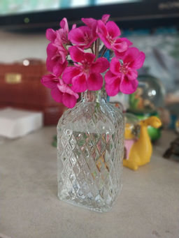 41bc09de0b9061e0a8503211a68a85fb6ce3qnxtmn1u2f3g