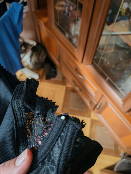 41ebb92f9d36bffbf96df9022ee674737xbassehoom56yh8by