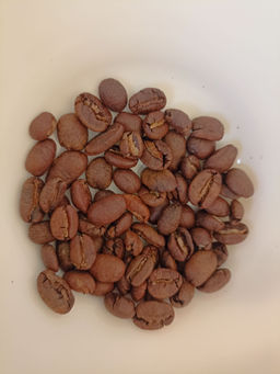 42ac0c188d2c06d8aa3b19abb881ff112flixtk7vwmfp6bkx2