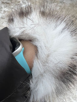 4396ac372e513451c58b1d1de8f6b1e07xbassemq7m5b6j4az