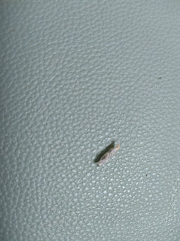 45e3926a6113e5d8a72a5f7a3ab9b2e07xbass1obvjm56een6