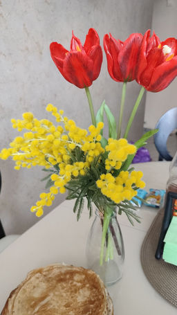 45f147b93bb42942a600ef3e62fce2b37xbass11506m7t4om0