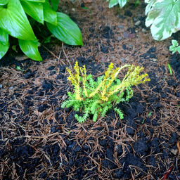 48d06436ac31a784ee9391cb944000ef18bq41ny6mcxgiass