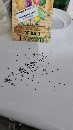 494d58349a4ed7554a9874b8b83f4e7e6ce3qnx5mn1rgjts