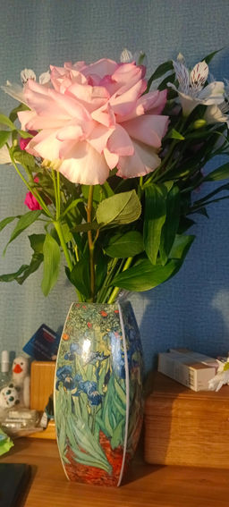 4a8b2d535da456649c2035712189318f6ce338amibbyzep