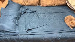 4d7af50779990d16a9108dae2a939c6c2flixt12jtmmgfjs9r