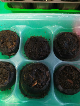 4d8d7b16892148de12a4127807c042da6ce3qnx5mlvz4z8v