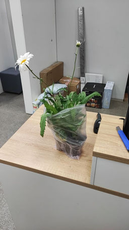 4e6e49221785c18961e849e2d0e49cee2flixtjkbfmfza1ysu