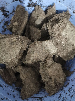 4e95fa1896d33276a0c131a269488e956ce318zkzmnewo4x5