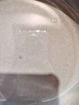 4ee5f6bb21d84c38f67d3de6423384516ce3qnx5ml9jm7zr