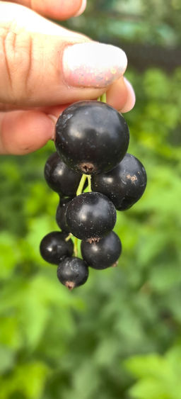 4f85318452030fbfb7ef333b8b69dc4218bq4vyjqmcqejkgc