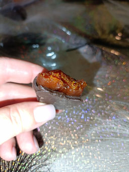 522bb41bb7cee3a82f47d8573072af5b6ce3qnxtmll75d12