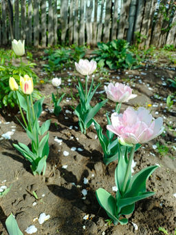 52ccffedbef1a4cbe4abb6ee520fcfb8u3vnr1euxma6gtxoi