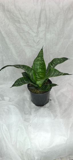 5316aae734aa7ef5a453b04fe8dd8edd6ce32ormi3avnaq