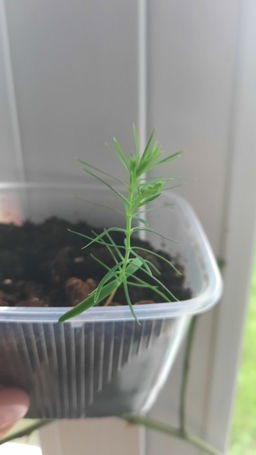 5326b68f474f650b894dbe1be674943518bq4236ximcgdmr6e