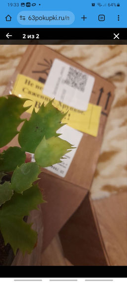 55e9a3f68f48ea87617a41794397198b6ce338amit0z44u