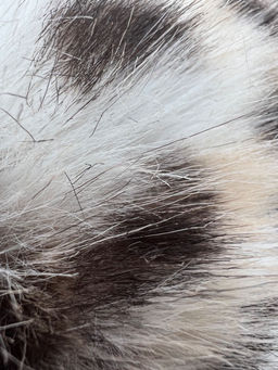 56e9ece78ac643b11ed77741d841d4587xbassemq7m5b6jw4g