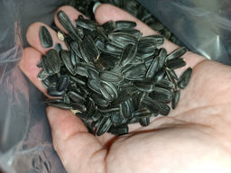 58ef45522f6cc8dd39f8de16308083307xbassxu9fm7hhcikp