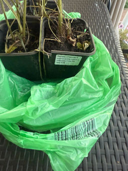 59caf08810f05af09e93199766f613952flixt233t5mf1fib2