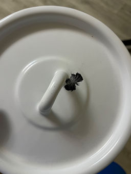 5b00ff49916f73f47af0d1b623f1ef676ce3h2s0ml0dys8f