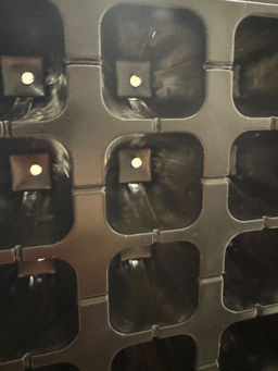 5c5f0959d310fae3bd17dd25d261a7696ce3h2s0mkqi564s