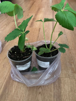 5ea0d24a51d6356d06dec9793d7826bf45gfo94glwjfo3hz