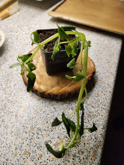 62bbe385aa96c81946d2edb8b4d9cdb26ce32oqmhywf866