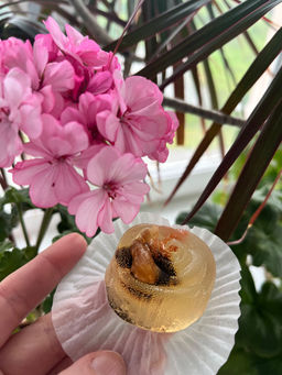 63ddd35e17c6cbc5dbaf1e1b1e2d4553u3vnr5b4wmanyl03p