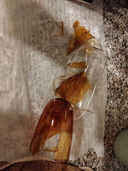 648948edbfb77dcc668e0354add1e2152flixt3434mhhz23s8