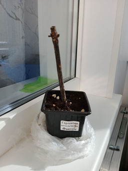 6578c6f6db680dccdd69273c0ed5e6516ce318zkzmnbcgaej