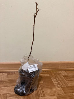 679687abece5d4f96f724fe8d6f393a12flixt2f3afmhc3b6z