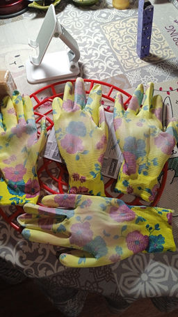 679e2b3d40c7cf2952854f99ea42218c6ce3385mihjdg0s