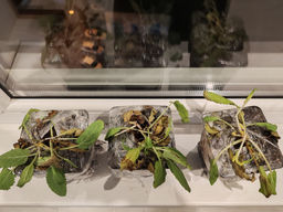 6856963e86cdb5c3323784acf68969502flixtp340mgi6814g