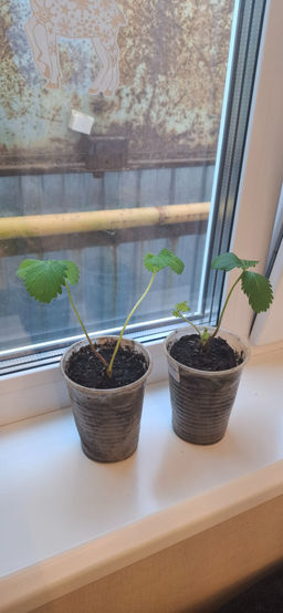 6a9efb4aeb42c4aadf0d917244b4dda118bq41uftjmbt2c44x