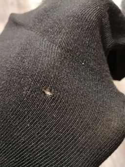 6dfa391916da235d396dc55ea24f85216ce3h2simkwu68gd