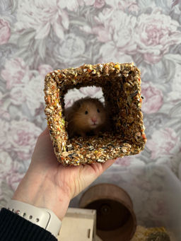 6fb0cb5f0a32a62839d5bd5c250ca5b76ce3qnxtmmqecpap