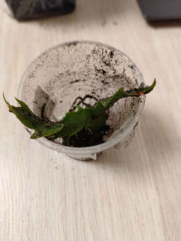 7461897ca1c99eb102dce0918593f3416ce3h2s0ml0whdqh