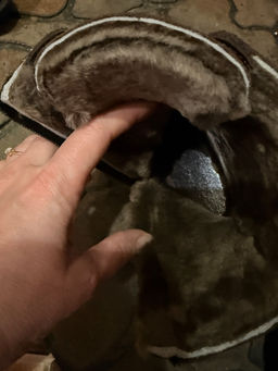 752f19efe9b0422026246c12e7363f3d6ce3qnxtmlav00yt