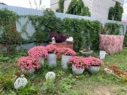 7a13e43b909a7e7118d9fe27c5299be42flixt1j6immfh4mlp